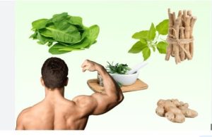 increase testosterone naturally