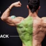 back and biceps body beast